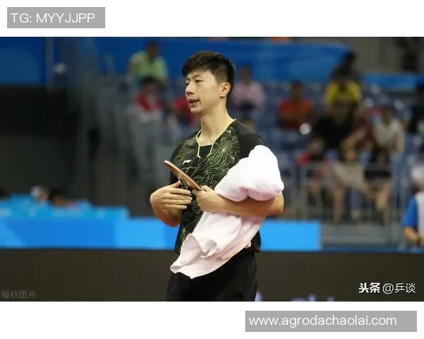北京乒乓球队转型之路：从传统强队到现代竞技新模式的深度解析