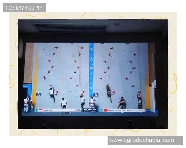 广州攀岩队战术之争引发热议攀岩界的未来发展方向探讨