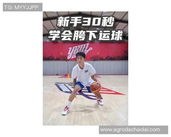 杨丽专访：探寻篮球领域的成功秘诀与成长之路
