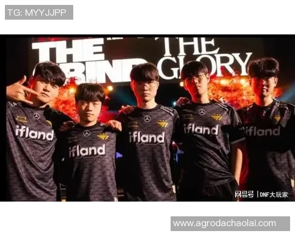 最新英雄联盟战队配合排名TOP10IG强势领跑引发热议