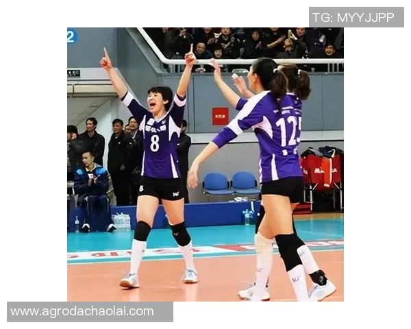 杭州排球队速度表现分析与提升策略探讨