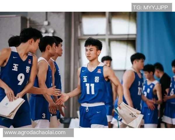 杭州篮球队在冠军赛中的耐力表现与战术分析探讨