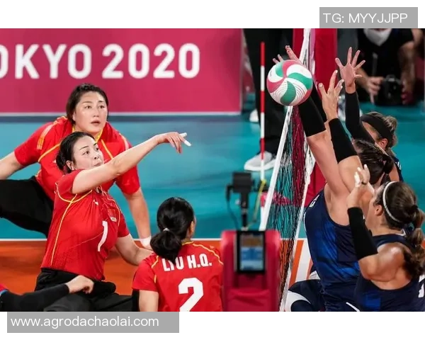 武汉排球队技术揭秘：排球巨献背后的训练与战术分析