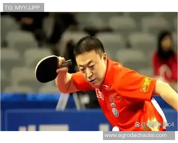 深入分析杭州乒乓球队控制打法的战术特点与应用策略 深入分析杭州乒乓球队控制打法的战术特点与应用策略