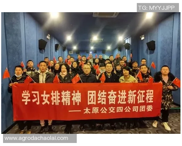 深圳排球队灵活性变革引发热议助力球队新征程