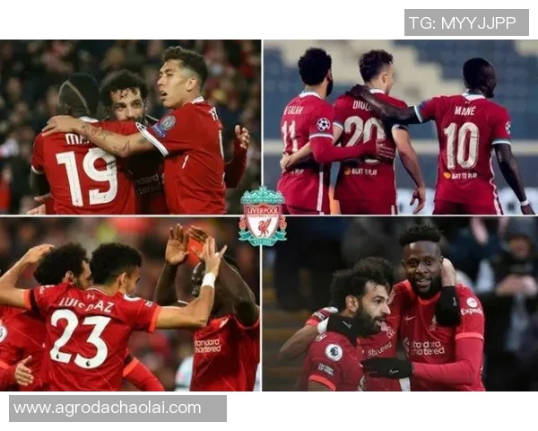 西安网球队的战术解析与阵地战策略深度剖析