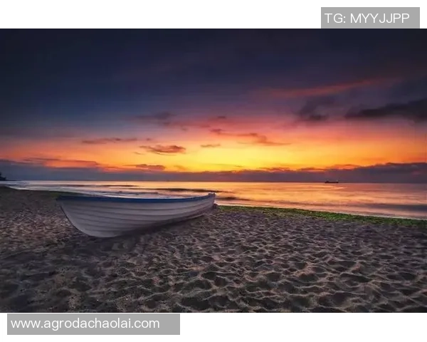 飞盘与梦想的交汇点吴静的运动人生与深度对话 飞盘与梦想的交汇点吴静的运动人生与深度对话