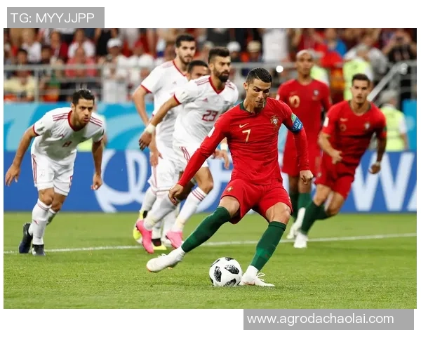 C罗领衔葡萄牙队对阵北爱尔兰的精彩较量与战术分析