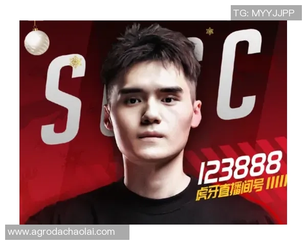 WE逆袭之路:DOTA2赛场上的奋斗与荣耀之旅 WE逆袭之路:DOTA2赛场上的奋斗与荣耀之旅