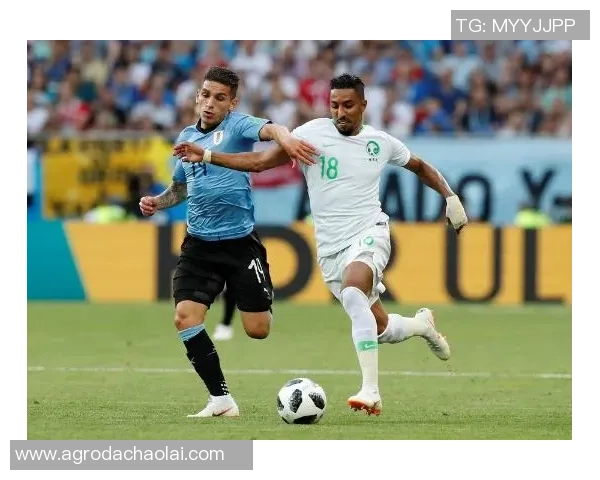 乌拉圭与加纳手球对决精彩回顾及赛后分析 乌拉圭与加纳手球对决精彩回顾及赛后分析