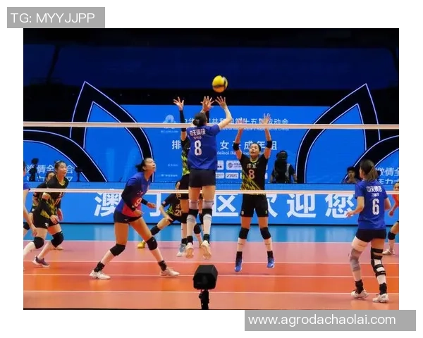 女排联赛激战正酣辽宁队与浙江队巅峰对决引发热烈关注