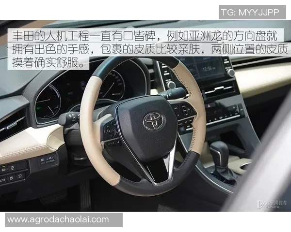 威尔森与霍尔帝的巅峰对决谁将赢得最终荣耀与胜利