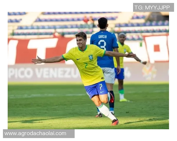 巴西与厄瓜多尔激战预选赛精彩瞬间回顾与分析