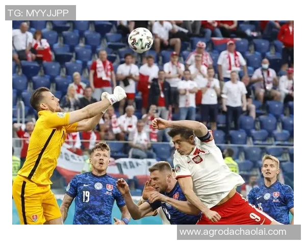 斯洛伐克与阿塞拜疆足球赛结果揭晓精彩瞬间回顾与分析